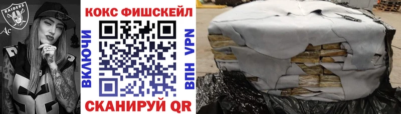 Купить закладки  Ревда  Cocaine Fish Scale 