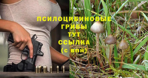 прущая мука Вязьма